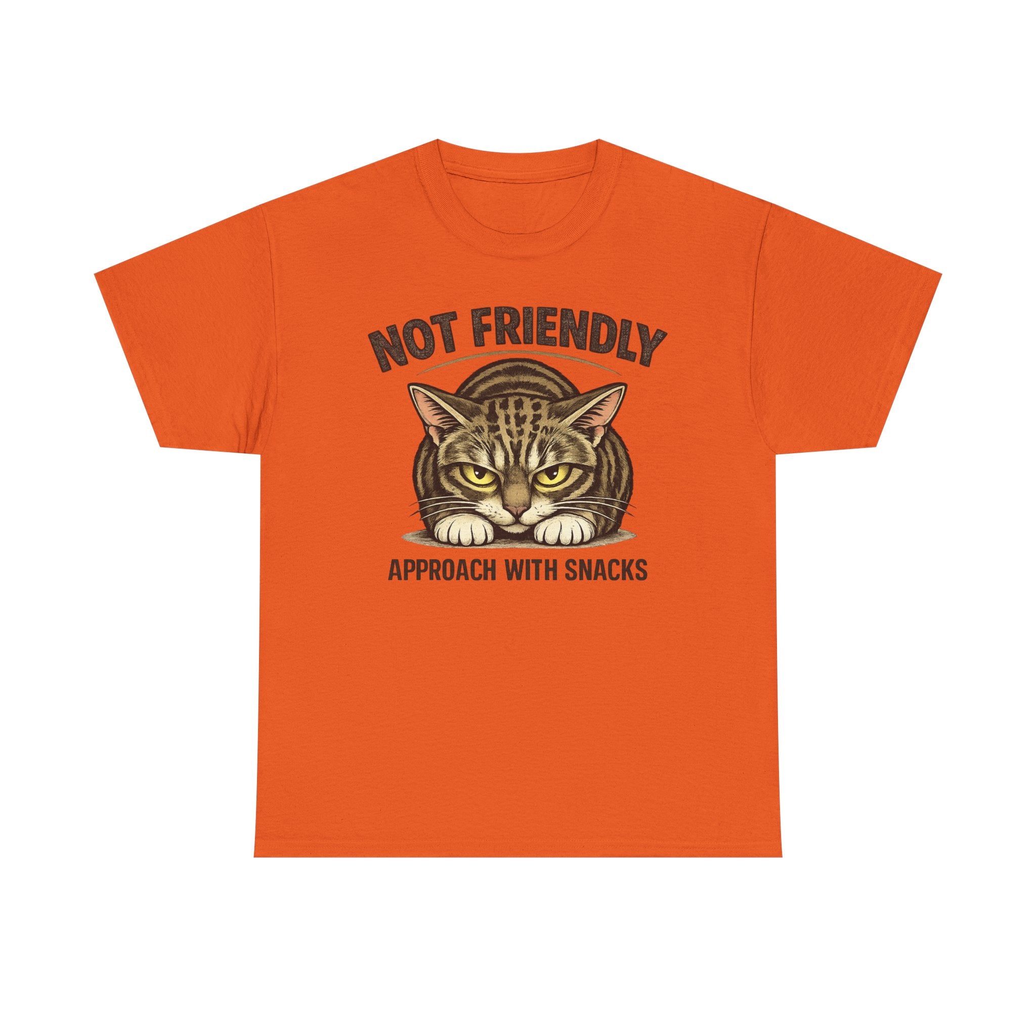 Not Friendly Cat T-Shirt — Graphic Tee "Approach With Snacks"