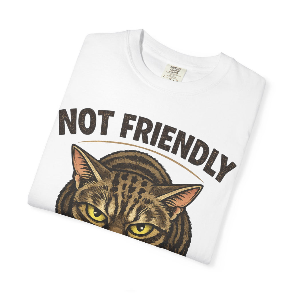 Not Friendly Cat T-Shirt — Retro Grumpy Tabby Graphic Tee