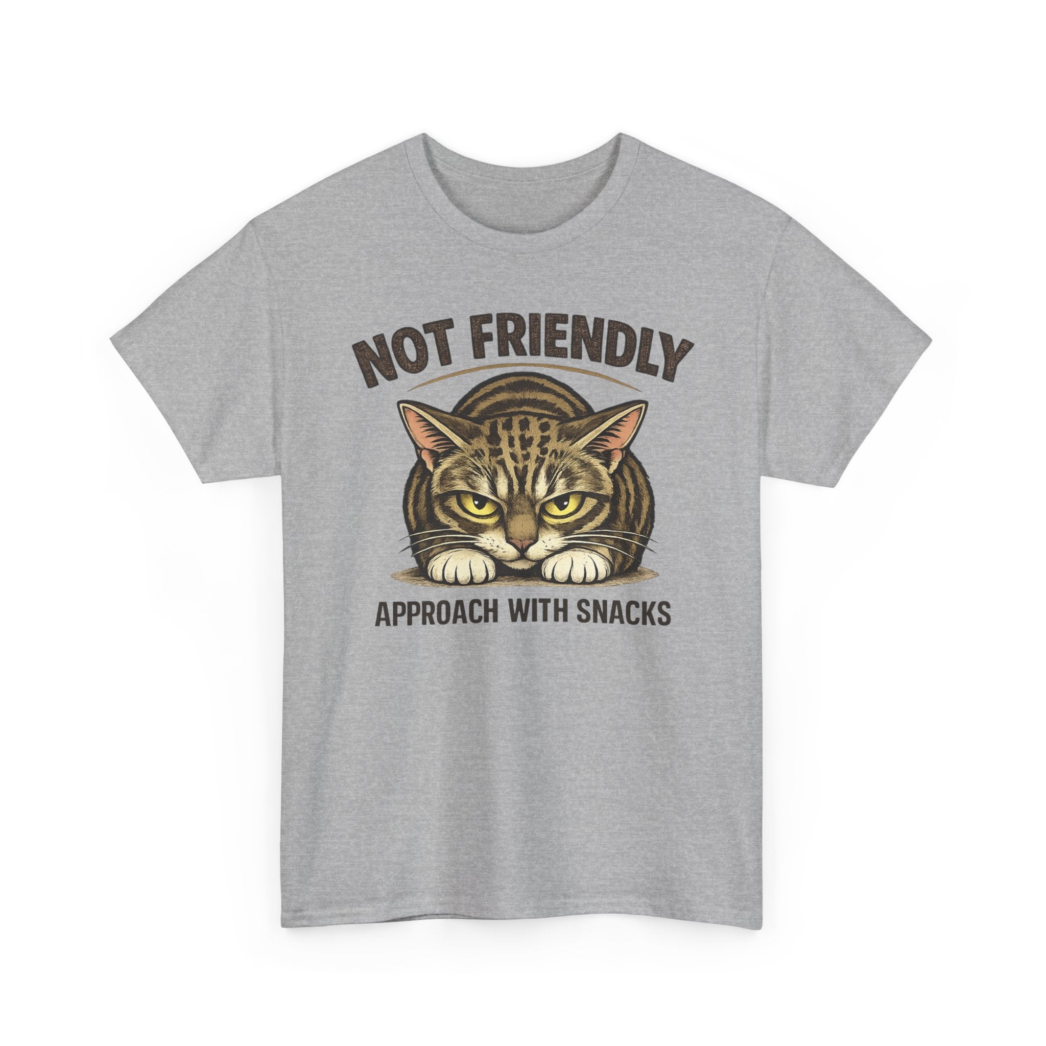 Not Friendly Cat T-Shirt — Graphic Tee "Approach With Snacks"