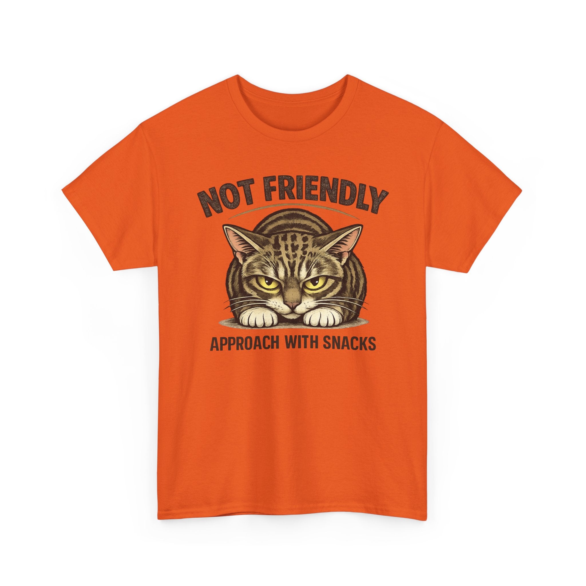 Not Friendly Cat T-Shirt — Graphic Tee "Approach With Snacks"