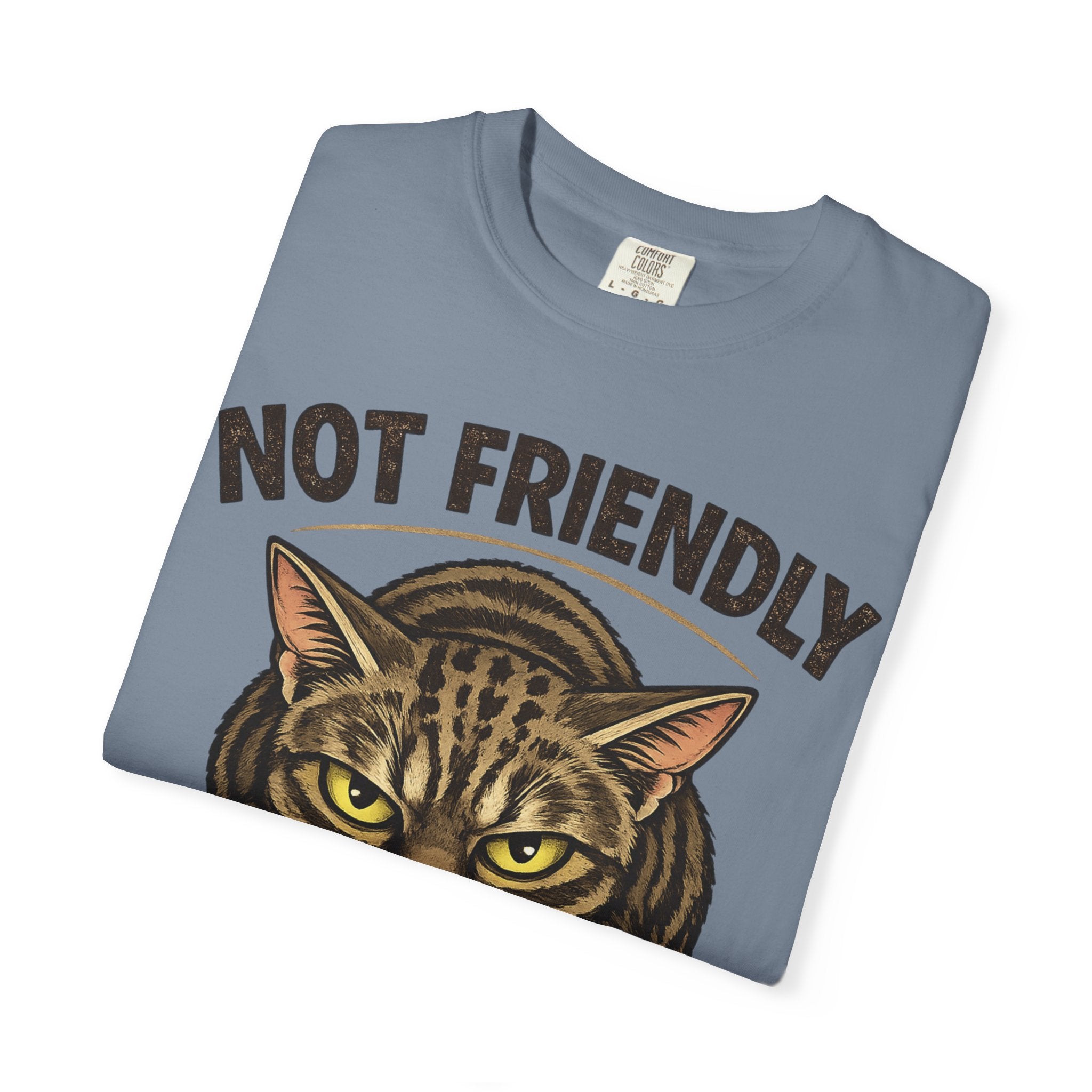 Not Friendly Cat T-Shirt — Retro Grumpy Tabby Graphic Tee