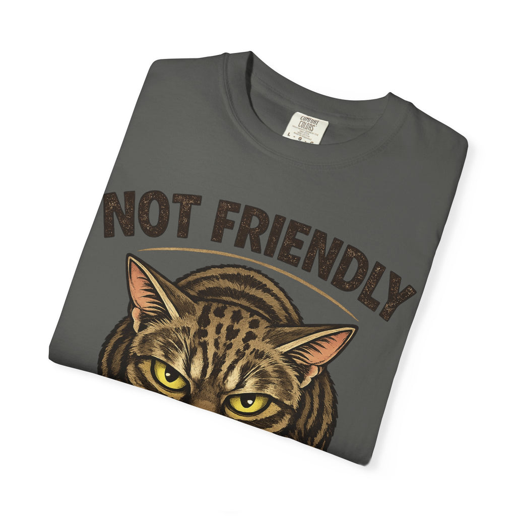 Not Friendly Cat T-Shirt — Retro Grumpy Tabby Graphic Tee