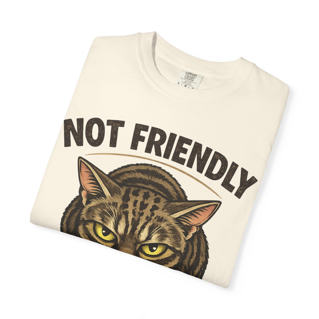 Not Friendly Cat T-Shirt — Retro Grumpy Tabby Graphic Tee