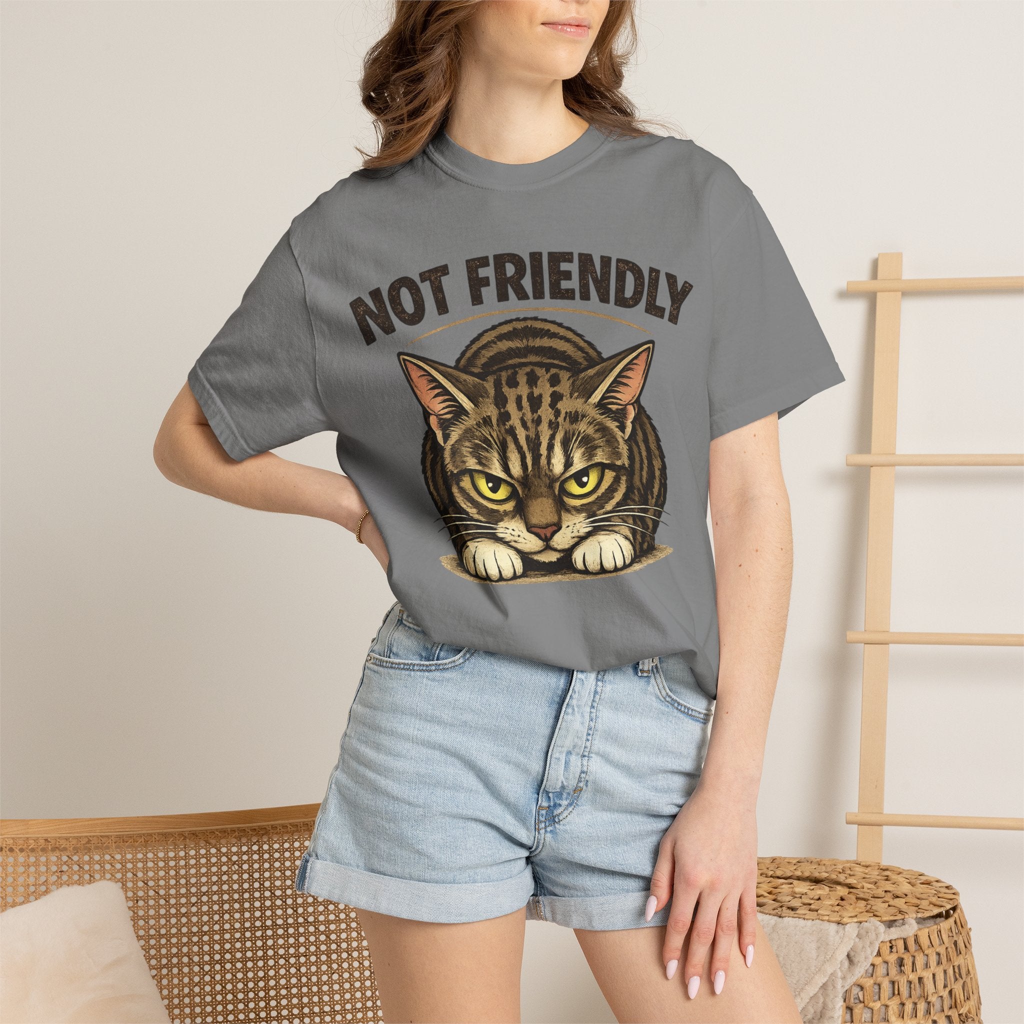 Not Friendly Cat T-Shirt — Retro Grumpy Tabby Graphic Tee