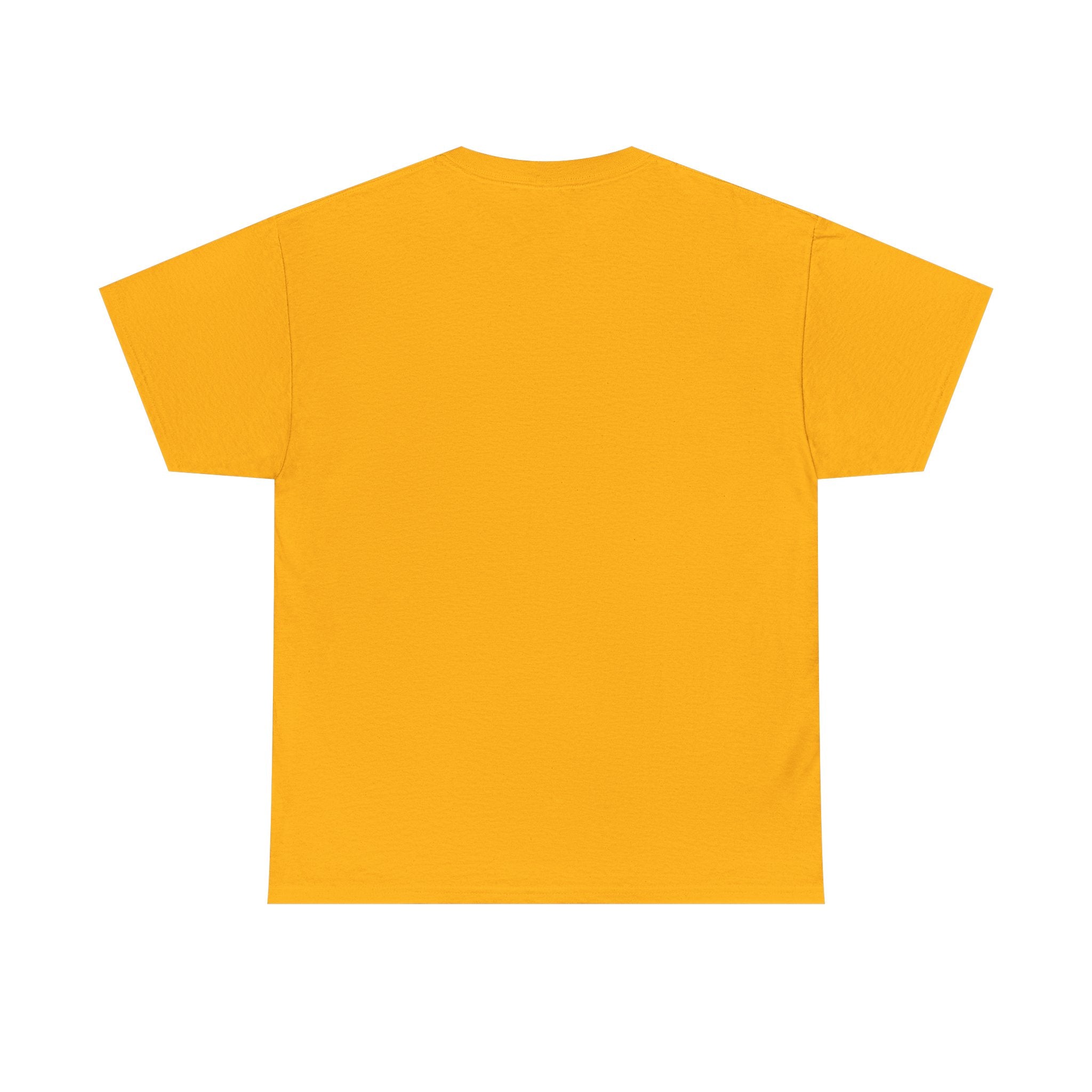Not Friendly Cat T-Shirt — Graphic Tee "Approach With Snacks"