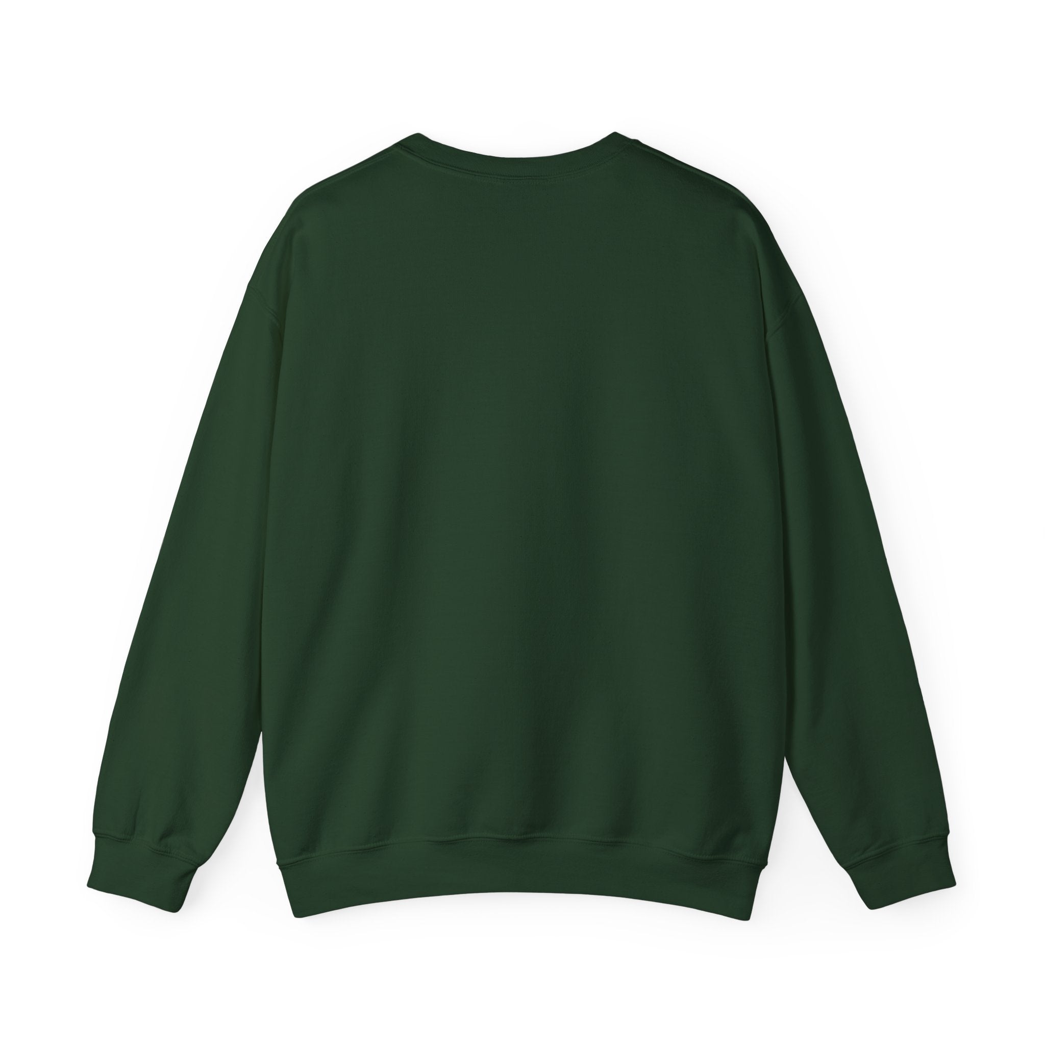 Maine Coon Sweatshirt - "My Main Squeeze" Cat Lover Crewneck