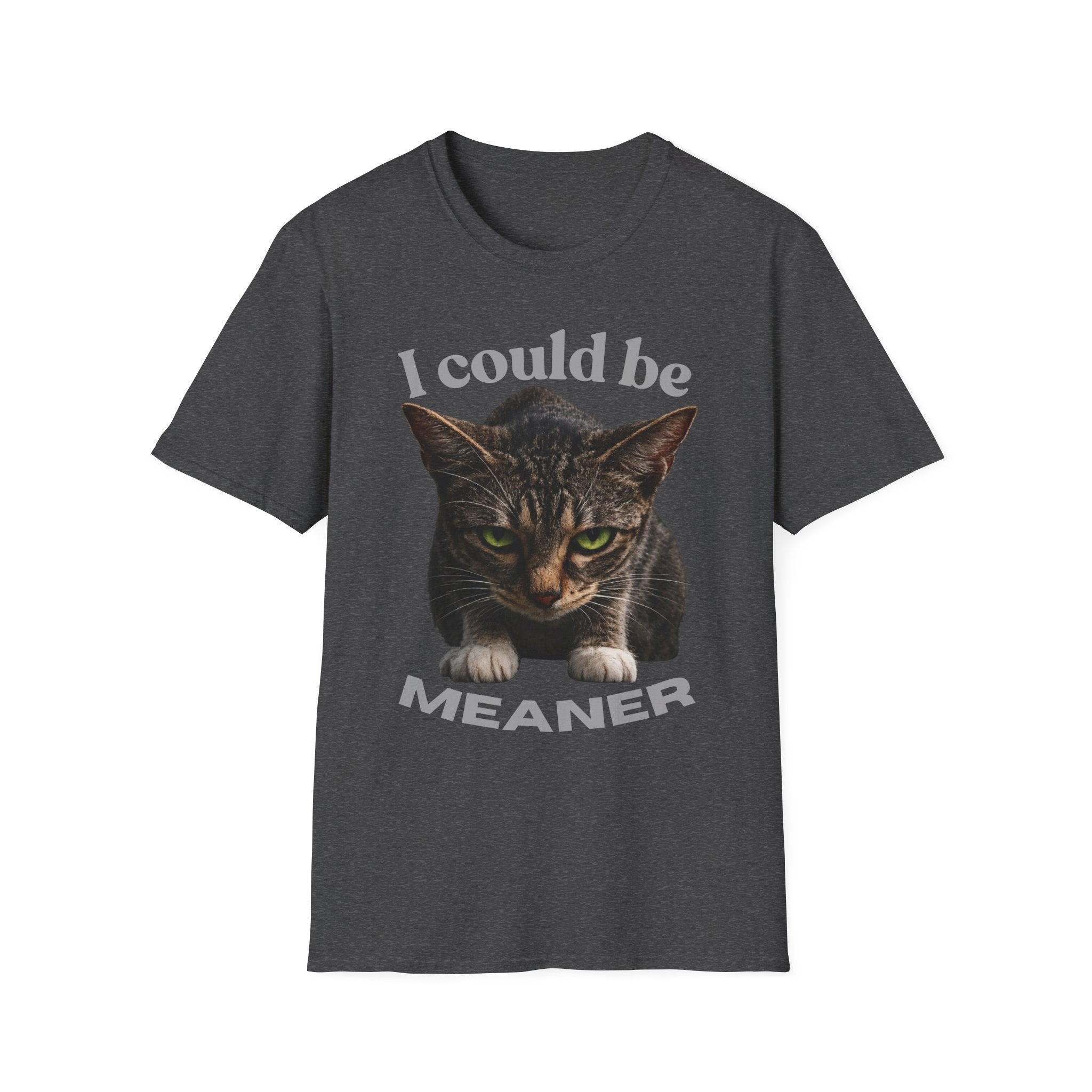 T-Shirt — I Could Be Meaner Cat Graphic Tee