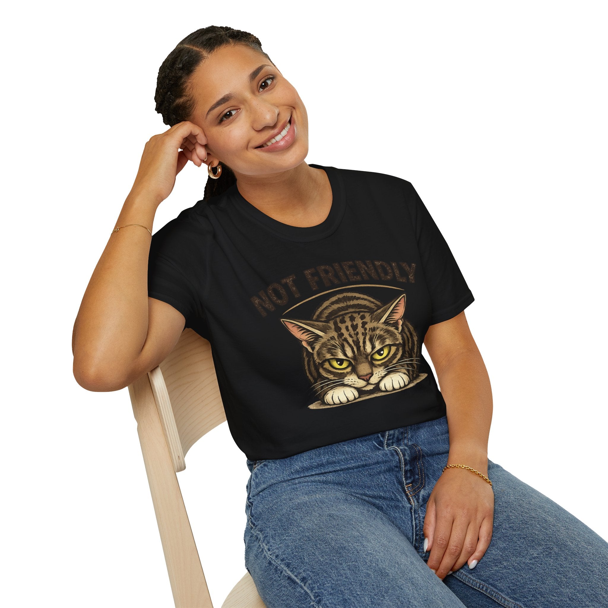 Not Friendly Cat T-Shirt — Grumpy Tabby Graphic Tee for Cat Lovers