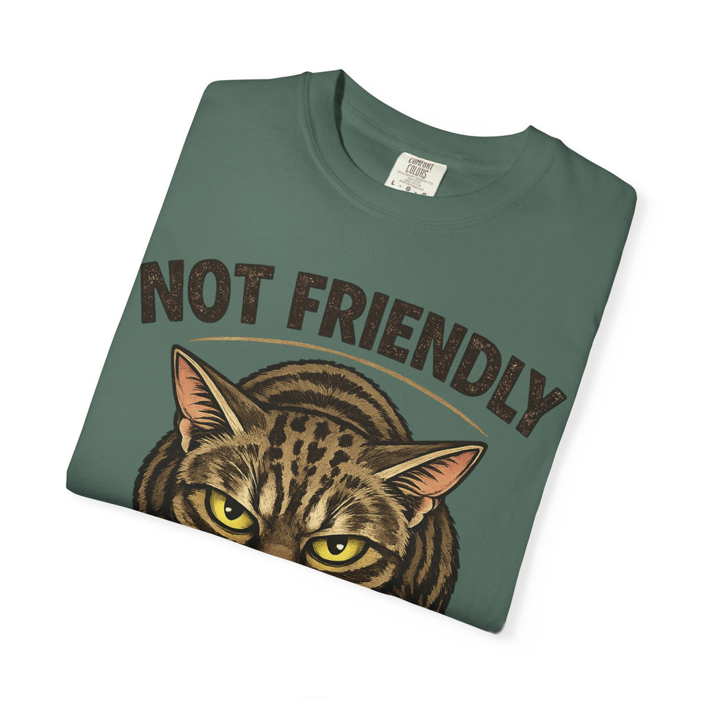 Not Friendly Cat T-Shirt — Retro Grumpy Tabby Graphic Tee