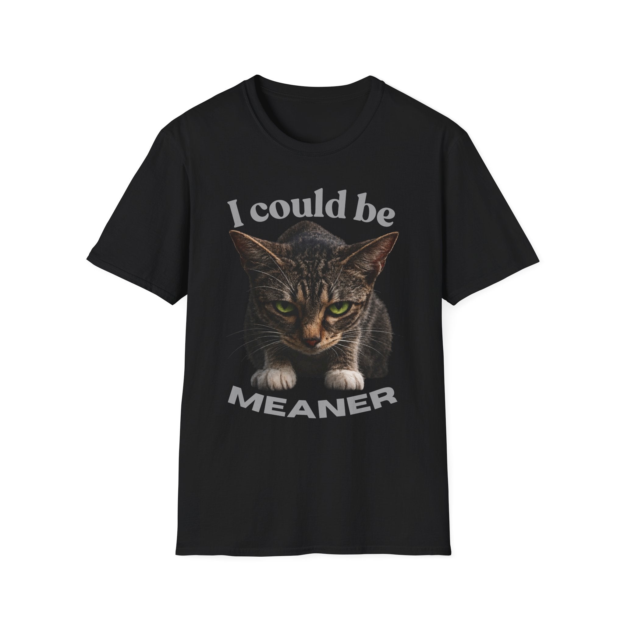 T-Shirt — I Could Be Meaner Cat Graphic Tee