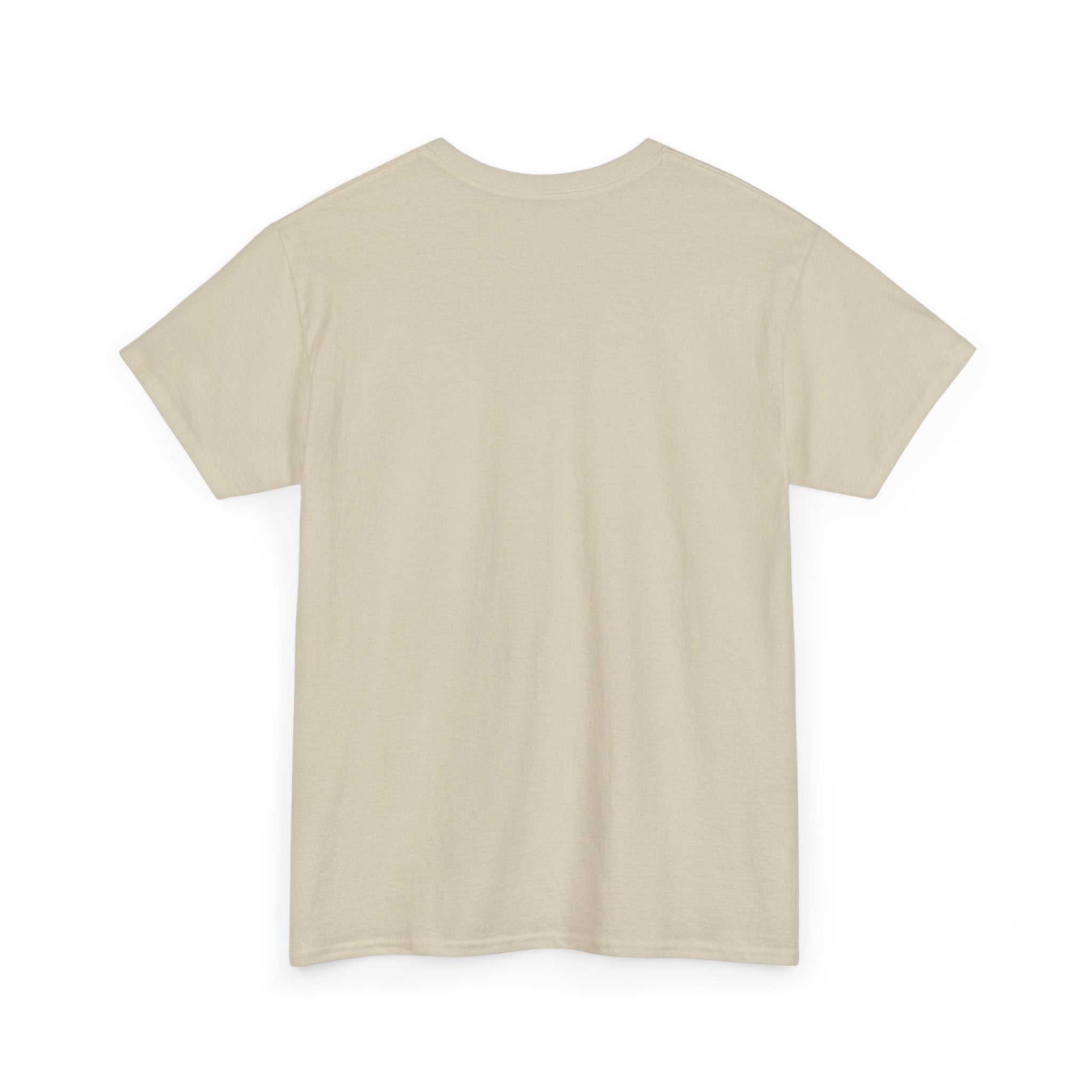 Not Friendly Cat T-Shirt — Graphic Tee "Approach With Snacks"