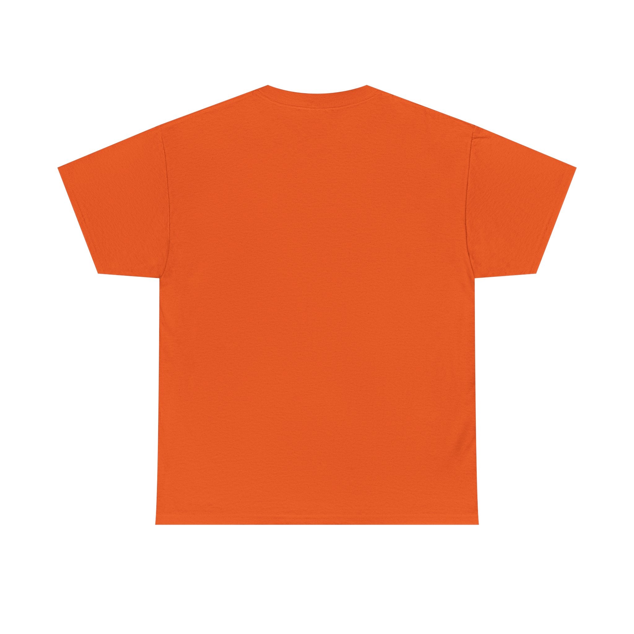 Not Friendly Cat T-Shirt — Graphic Tee "Approach With Snacks"