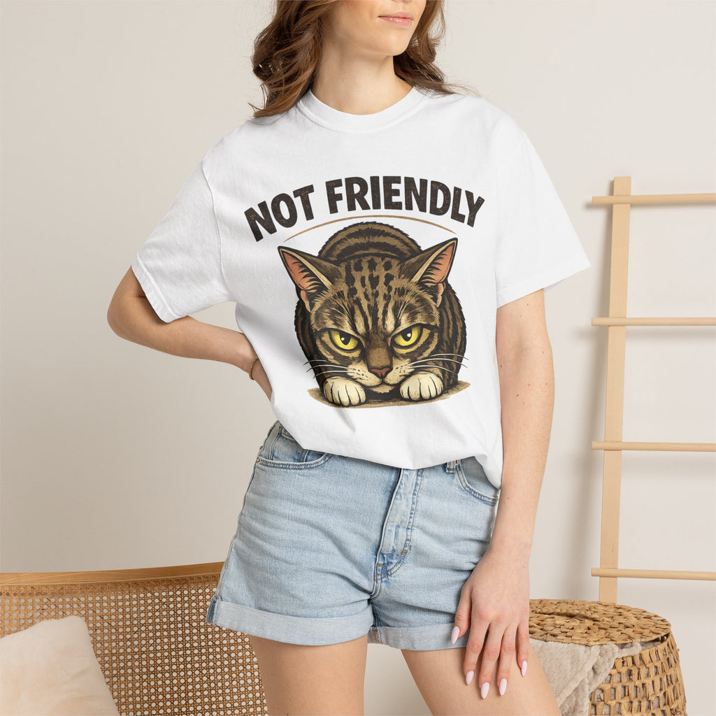 Not Friendly Cat T-Shirt — Retro Grumpy Tabby Graphic Tee