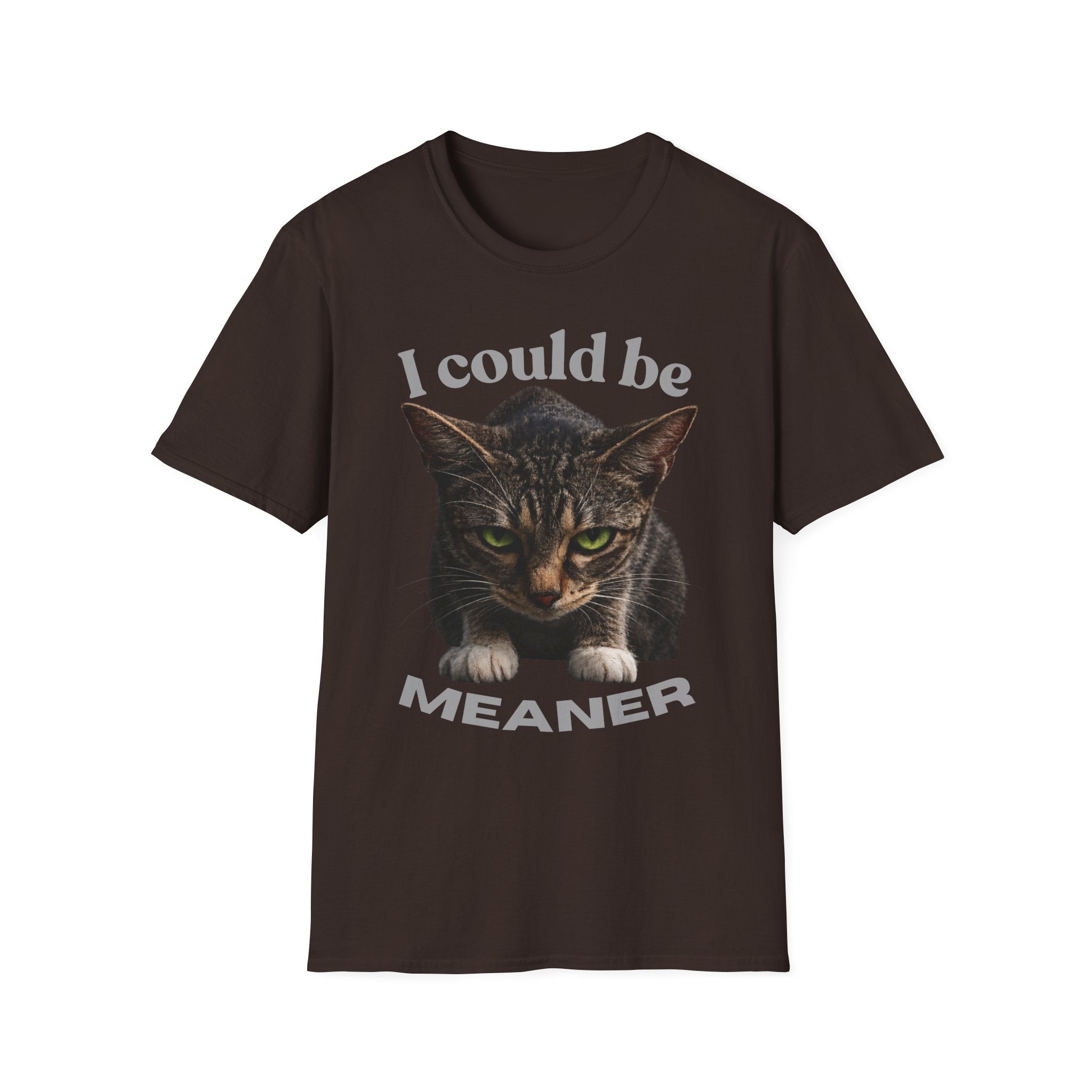 T-Shirt — I Could Be Meaner Cat Graphic Tee