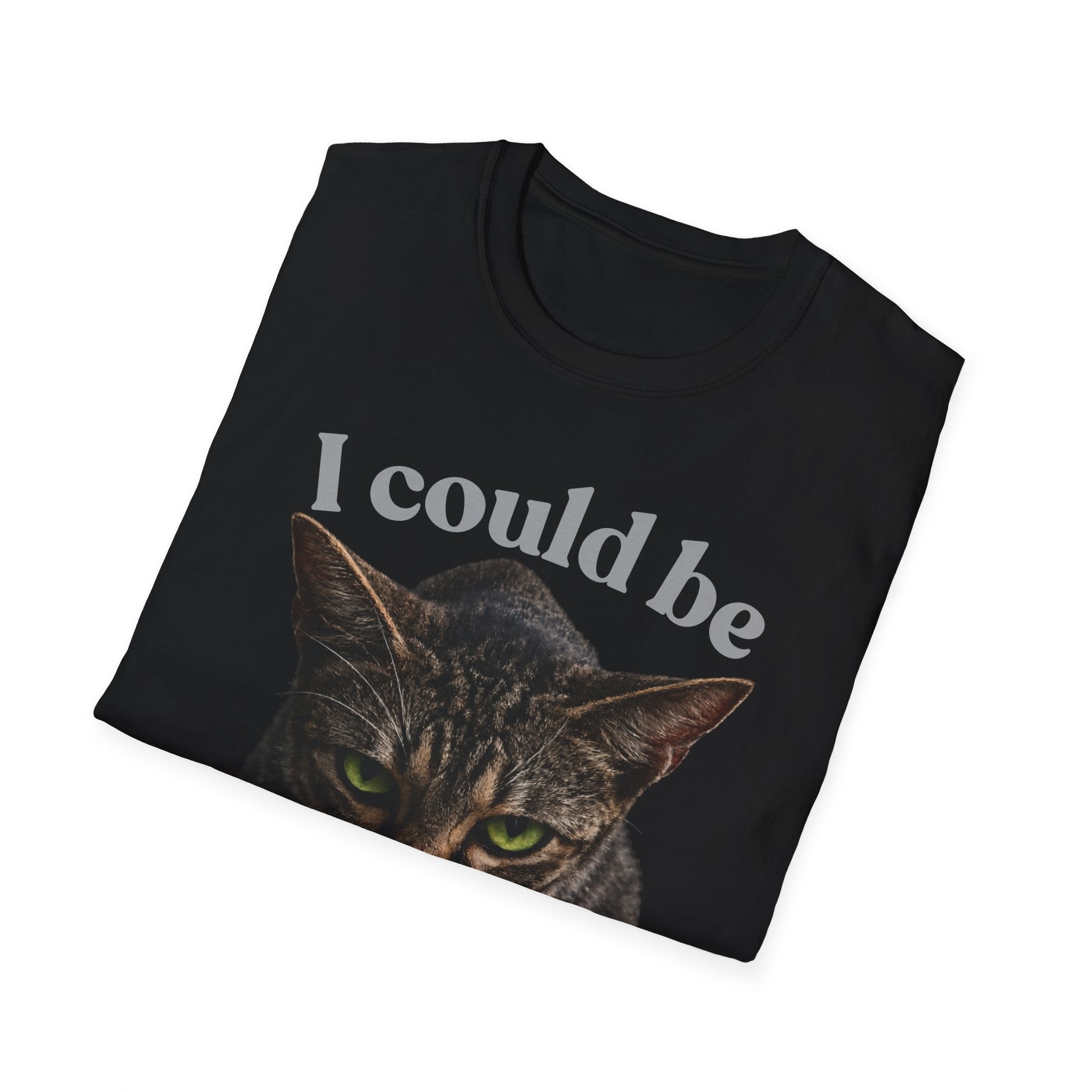 T-Shirt — I Could Be Meaner Cat Graphic Tee