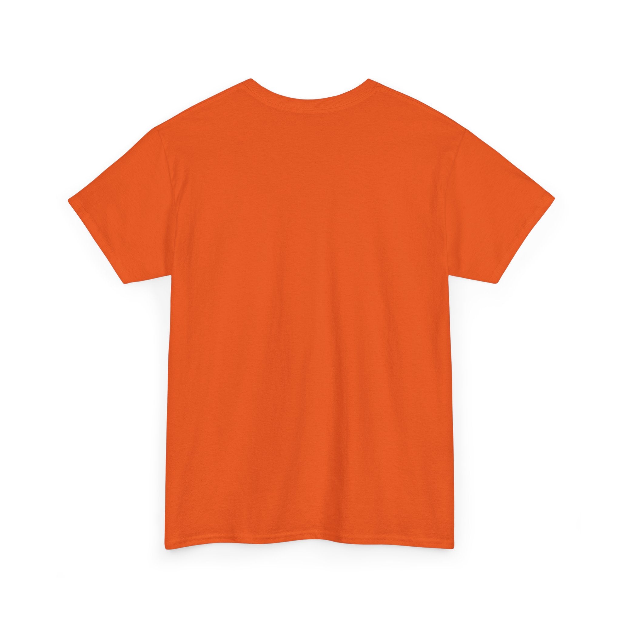 Not Friendly Cat T-Shirt — Graphic Tee "Approach With Snacks"