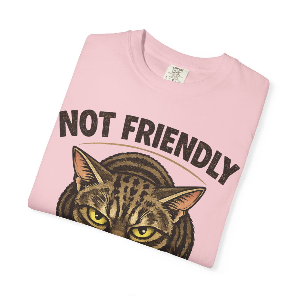 Not Friendly Cat T-Shirt — Retro Grumpy Tabby Graphic Tee