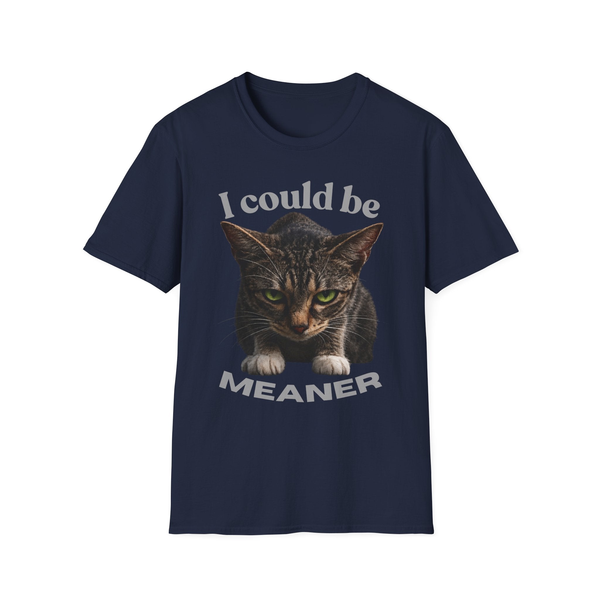 T-Shirt — I Could Be Meaner Cat Graphic Tee